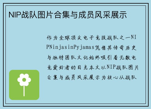 NIP战队图片合集与成员风采展示