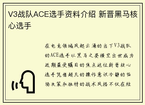 V3战队ACE选手资料介绍 新晋黑马核心选手