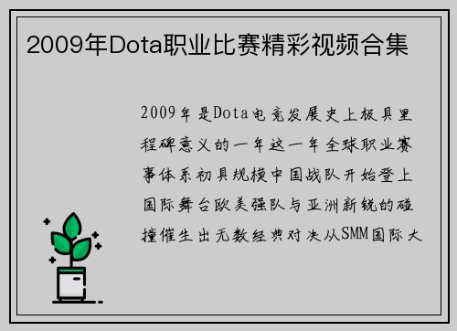 2009年Dota职业比赛精彩视频合集